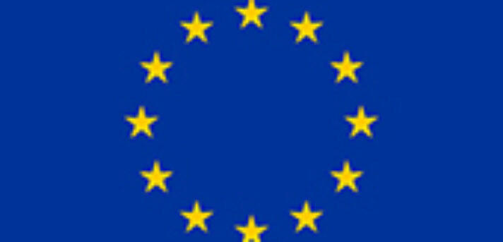 5000100-flag