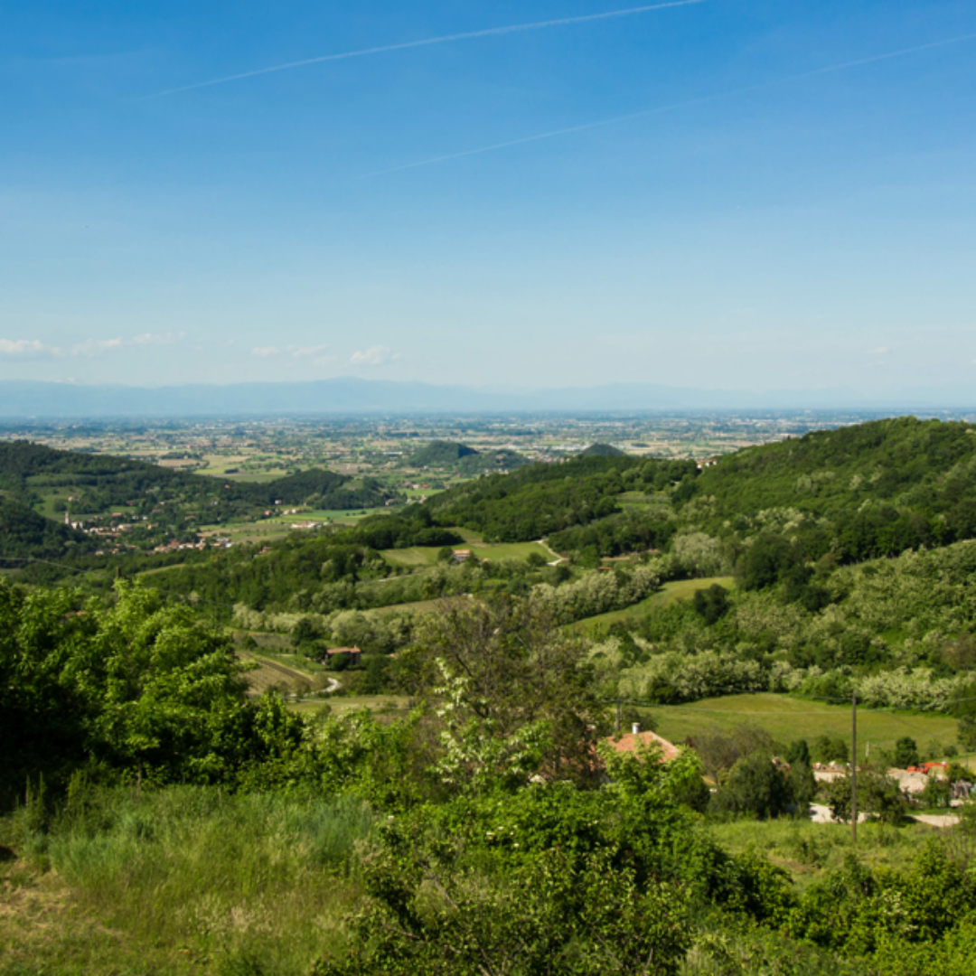 3092_adobestock_94011235