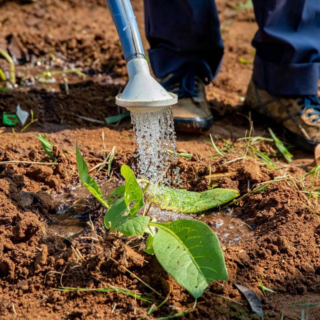 agriculture-g9276a3a10_1920
