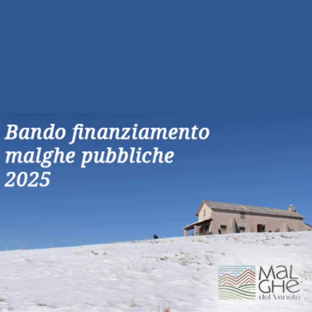 progetto-senza-titolo-1-10