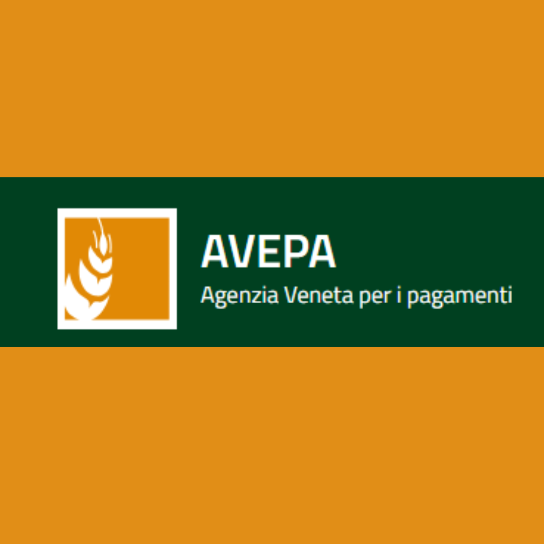 progetto-senza-titolo-2-5