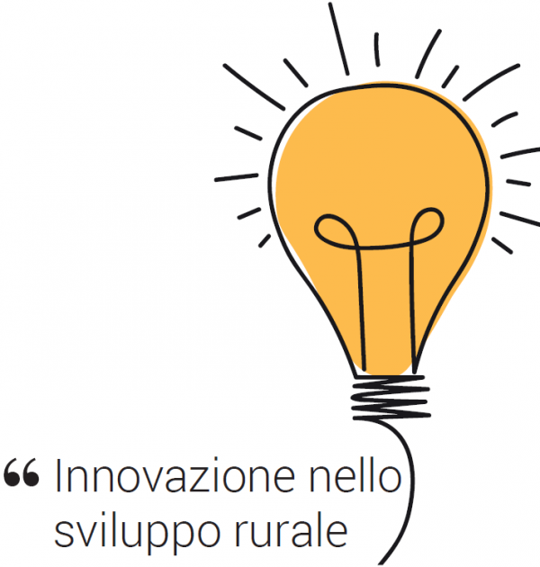 immagine-5