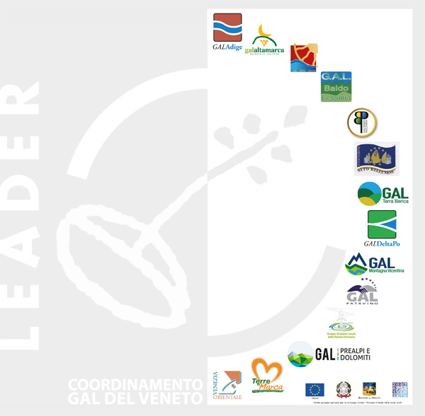 logo-combinato-gal-veneto2