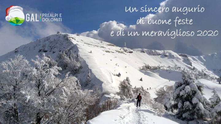 immagine-6-11
