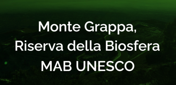 MAB