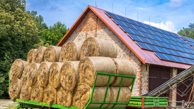 solare-agrivoltaico-pannelli-istock